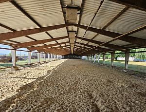 Rekonstrukce haly výkrmu prasat